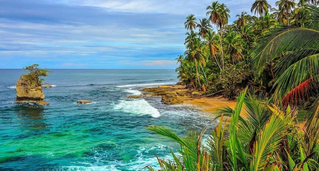 Hotel Boutique D Angelo Manzanillo  Luaran gambar