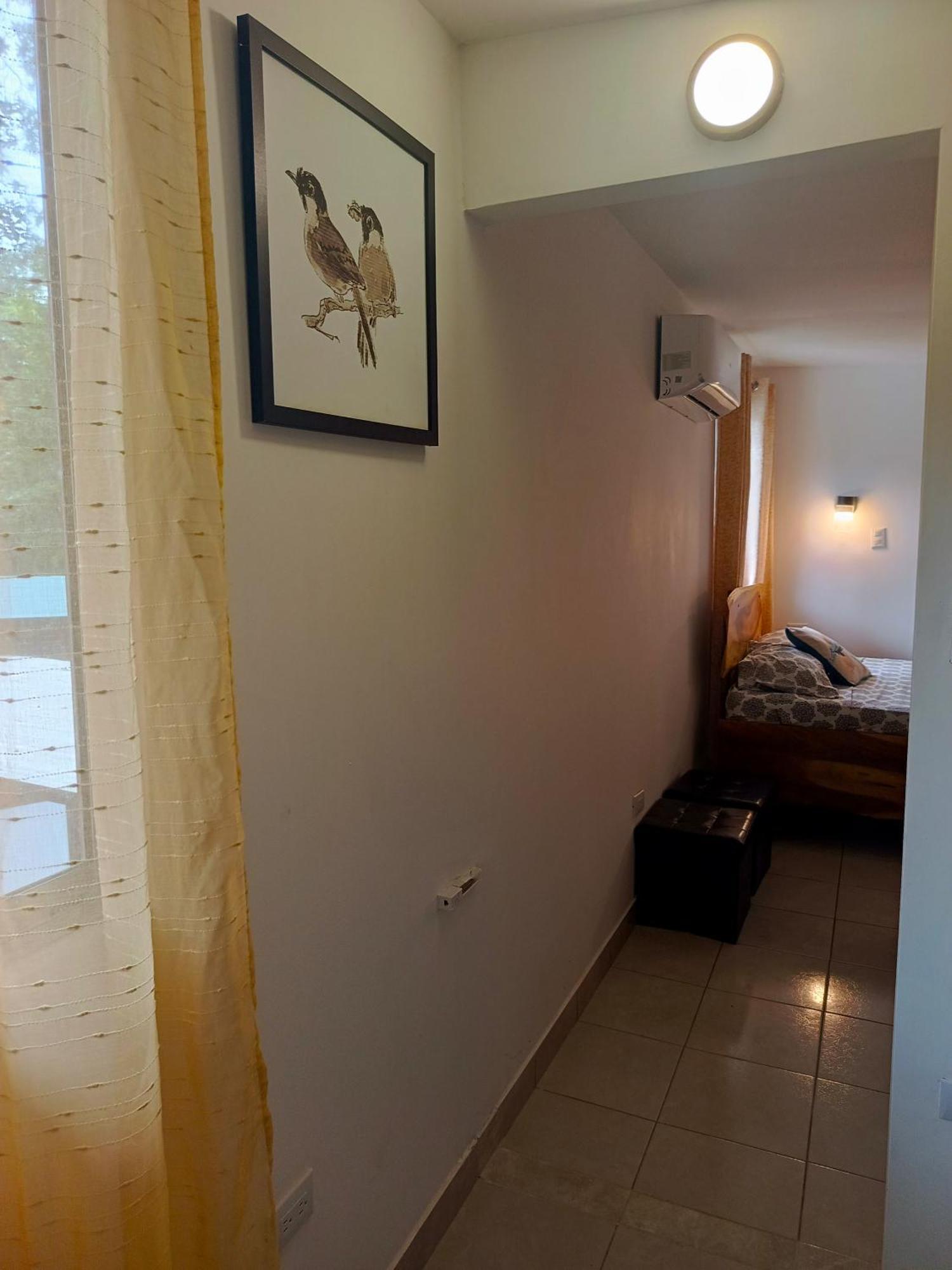 Hotel Boutique D Angelo Manzanillo  Luaran gambar