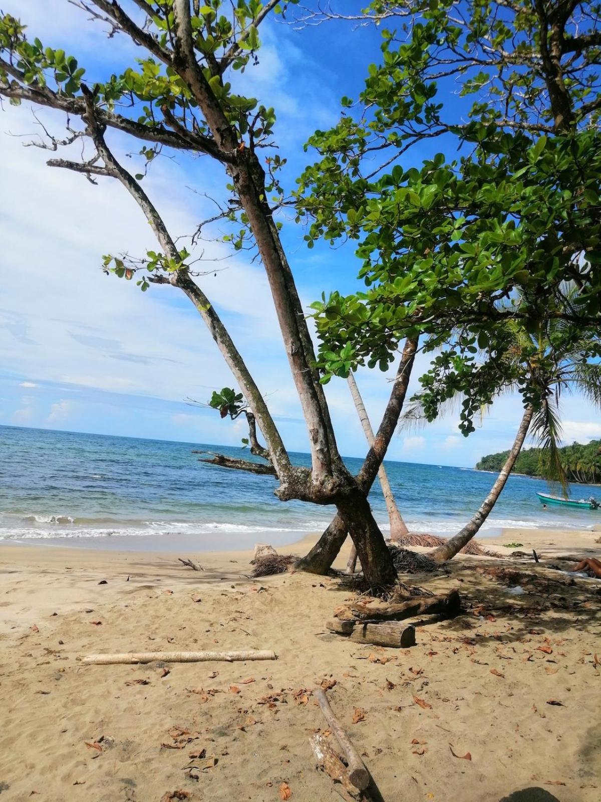 Hotel Boutique D Angelo Manzanillo  Luaran gambar