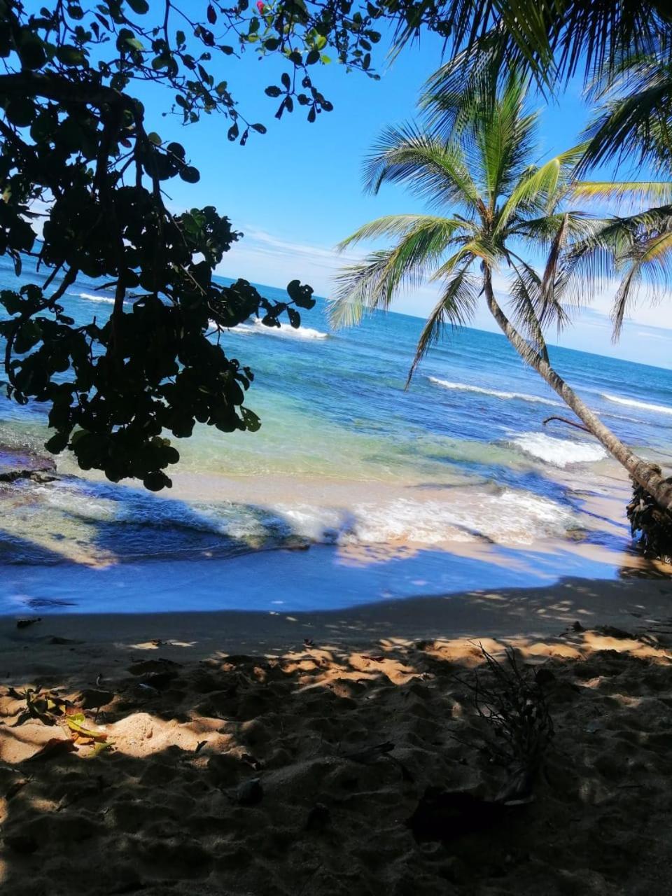 Hotel Boutique D Angelo Manzanillo  Luaran gambar