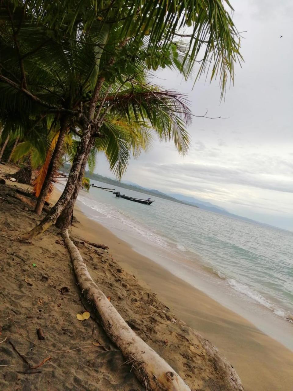 Hotel Boutique D Angelo Manzanillo  Luaran gambar